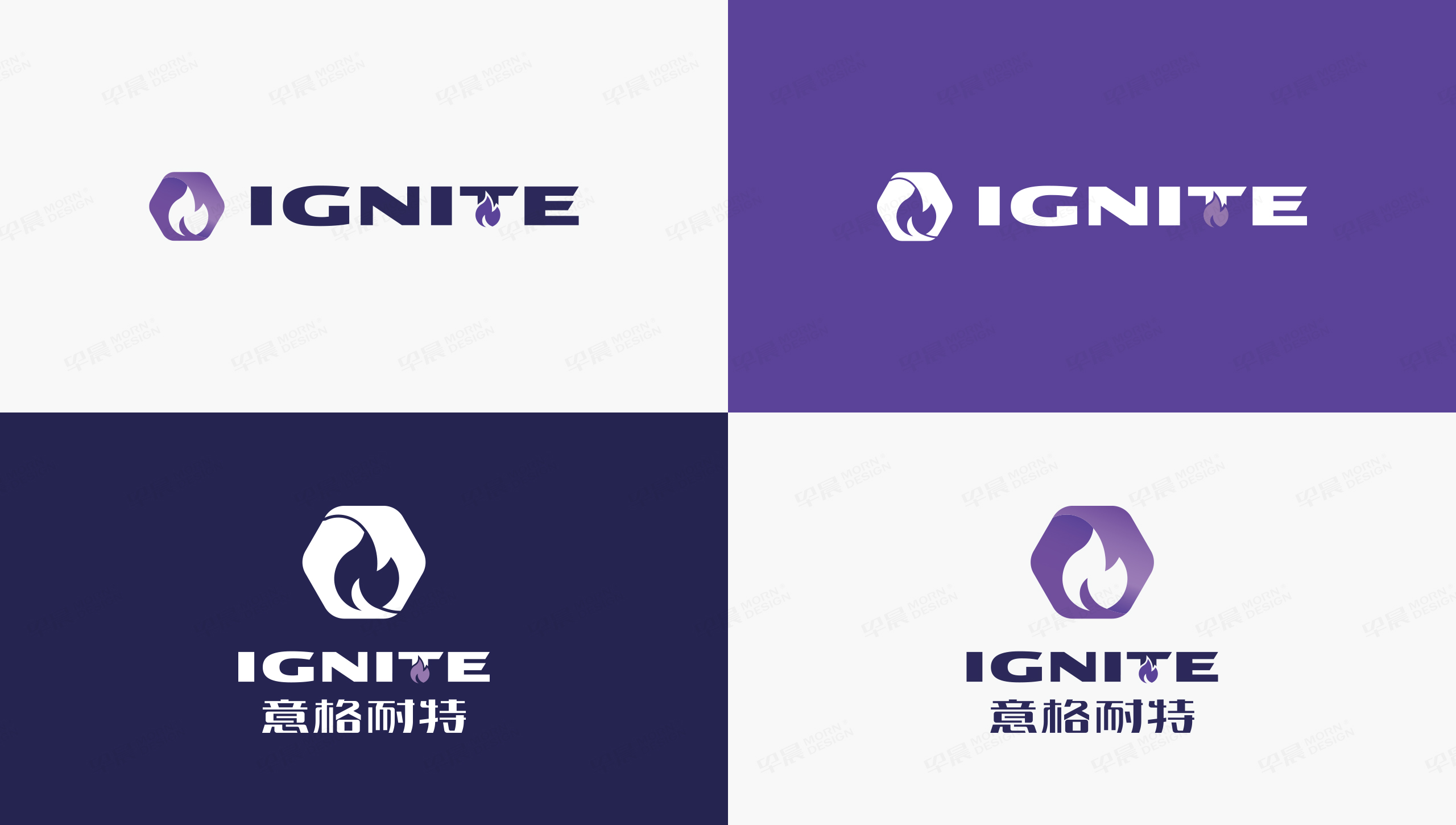 Logo設(shè)計(jì),IGNITE,意格耐特,品牌Logo設(shè)計(jì),Logo制作,蘇州,設(shè)計(jì)公司,制作公司